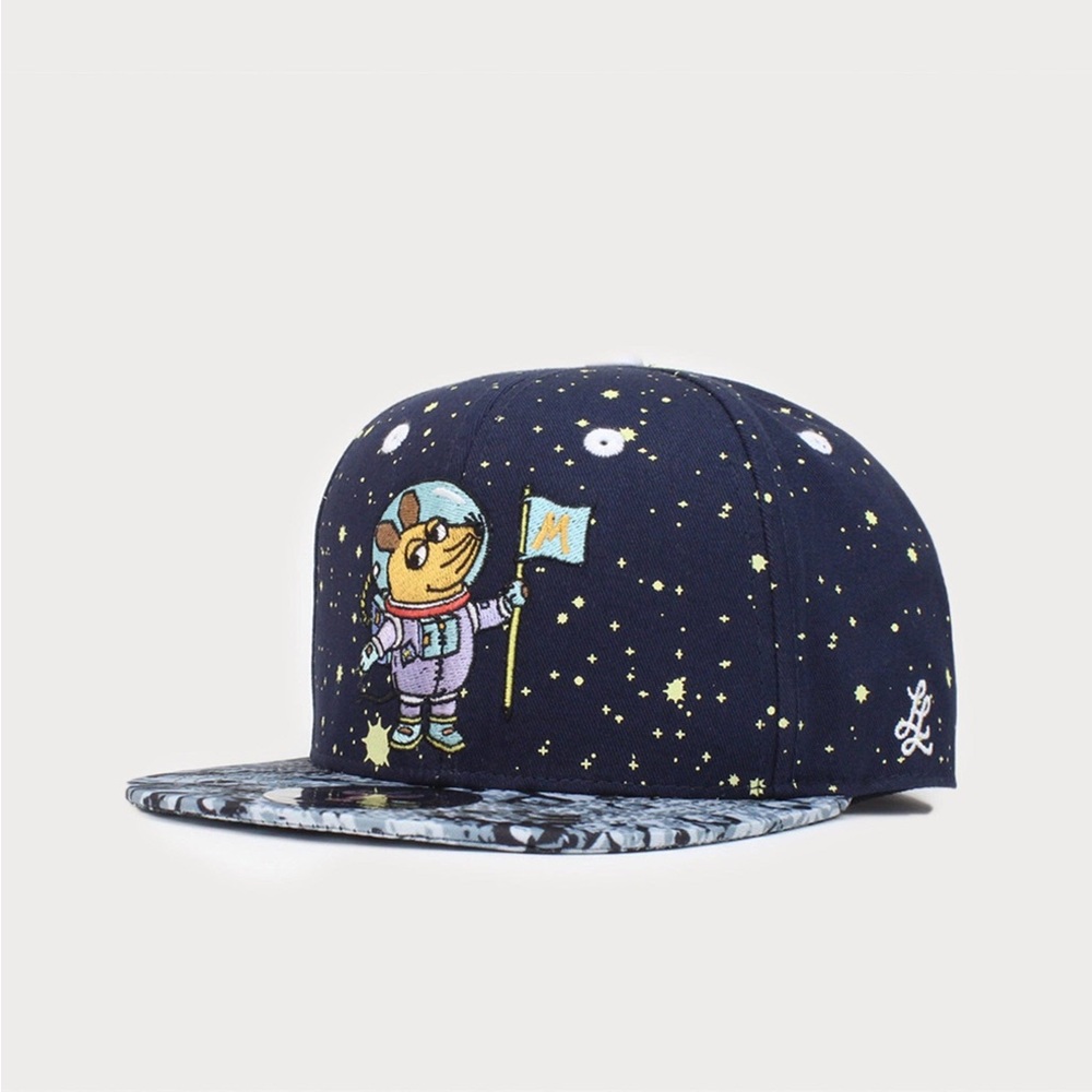 Embroidered SnapBack